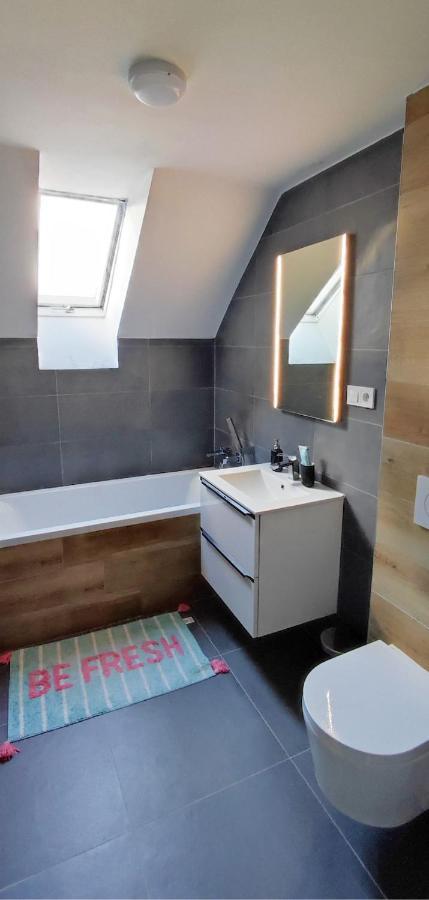 Apartman Pod Jestedem Appartement Liberec Buitenkant foto